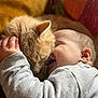 Joséphine a rejoint le concours — aidez-le/la à gagner de superbes lots ! baby, cat, snuggle, cuddle, fluffy, soft, warm, closeup, face, hand, pet, animal, child, comfort, blanket, cozy, indoor, sleeping, cute, tender