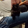 Naïrobi participe au concours pour gagner de l'argent avec cette photo : cat, black_cat, indoor, person, jeans, pink_shirt, couch, cushions, lap, sitting, furniture, pet, hands, relaxed, casual, home, domestic, animal, cozy, blurred_background