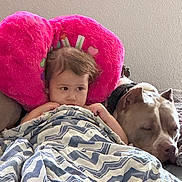 Haven joined the competition — help win amazing prizes! toddler, dog, blanket, pink_pillow, couch, indoor, resting, sleeping_dog, child, comfort, friendship, relaxation, patterned_blanket, snuggling, pet, cozy, home, fur, peaceful, portrait