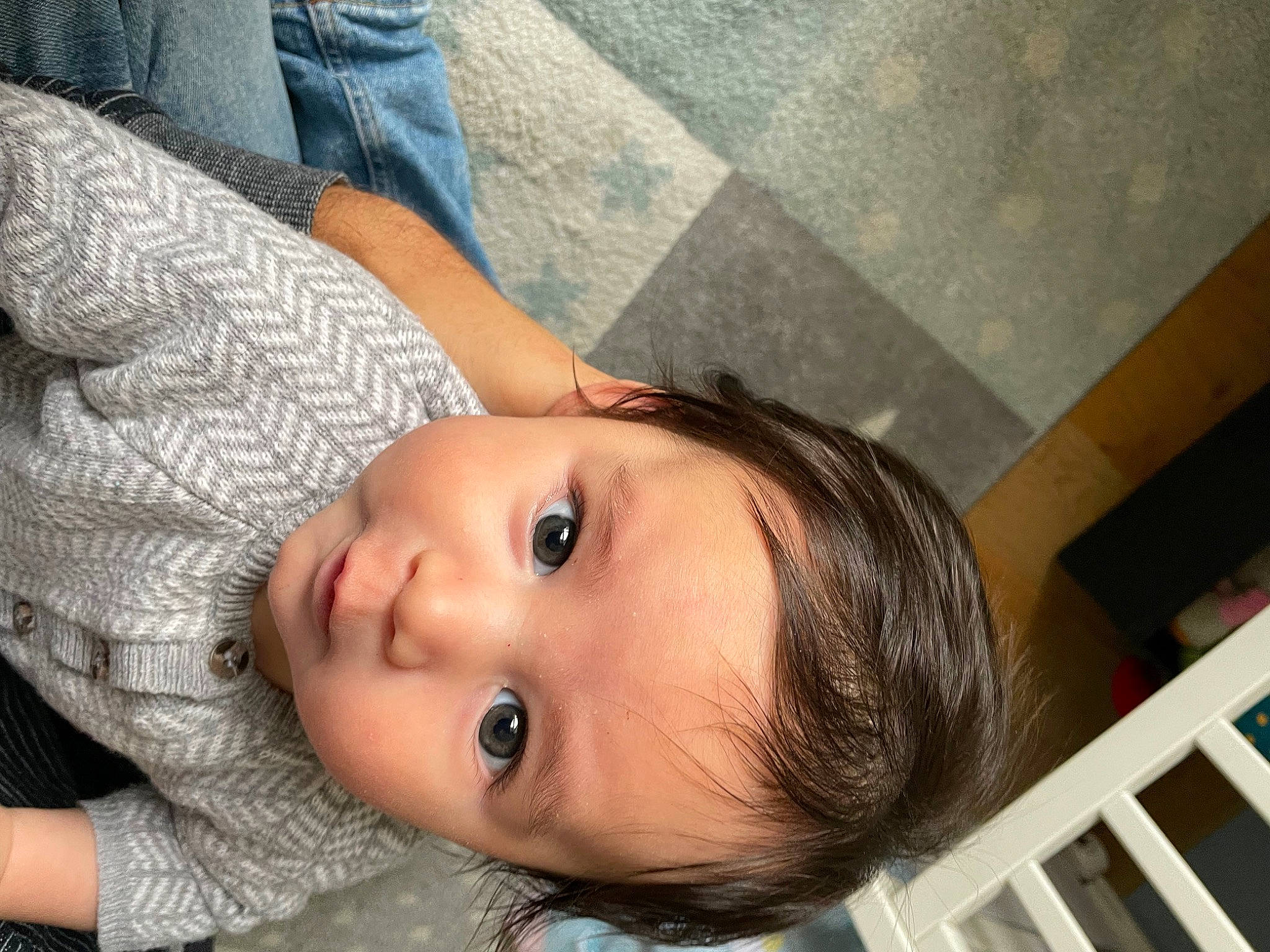 Lucas participe au concours pour gagner de l'argent avec cette photo : baby, black_hair, cheek, chest, eyebrow, eyelash, forehead, happy, human_body, iris, jaw, lip, mouth, neck, nose, person, skin, smile, toddler, tree