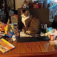 Izzy joined the competition — help win amazing prizes! cat, tabby_cat, pet, animal, sitting, keyboard, computer_desk, home_office, desk, papers, stationery, pencils, snacks, indoor, room, furniture, clutter, portrait, striped_fur, alert