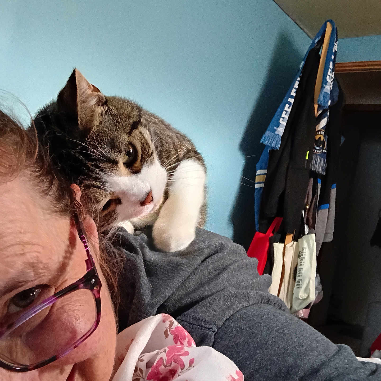 Izzy joined the competition — help win amazing prizes! cat, person, selfie, portrait, indoor, shoulder, gray_cat, white_paws, tabby, whiskers, ears, eyes, glasses, blanket, clothing, bedroom, blue_wall, closet, hanging_clothes, candid