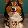 dog, corgi, mug, cartoon, illustration, cute, tongue_out, smiling, pet, portrait, indoor, wood_floor, green_wall, animal, fur, ears, paws, happy, closeup, domestic