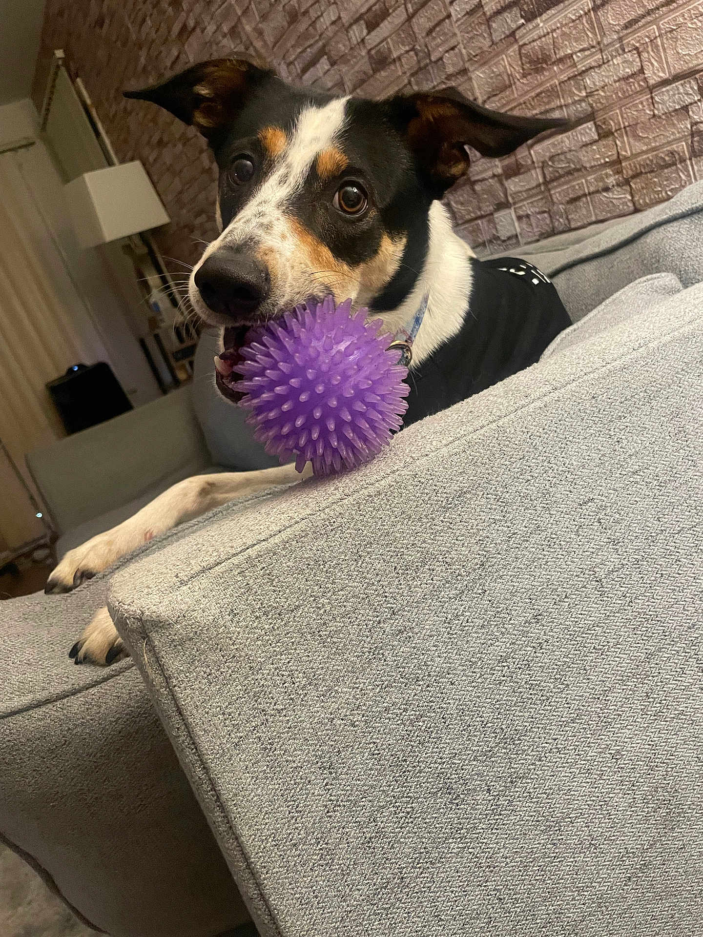 Pepper