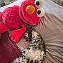 cat, plush_toy, elmo, bed, blanket, sleeping, relaxed, indoor, furry, pet, cozy, soft, stuffed_animal, gray_cat, white_cat, fluffy, toy, resting, home, comfort