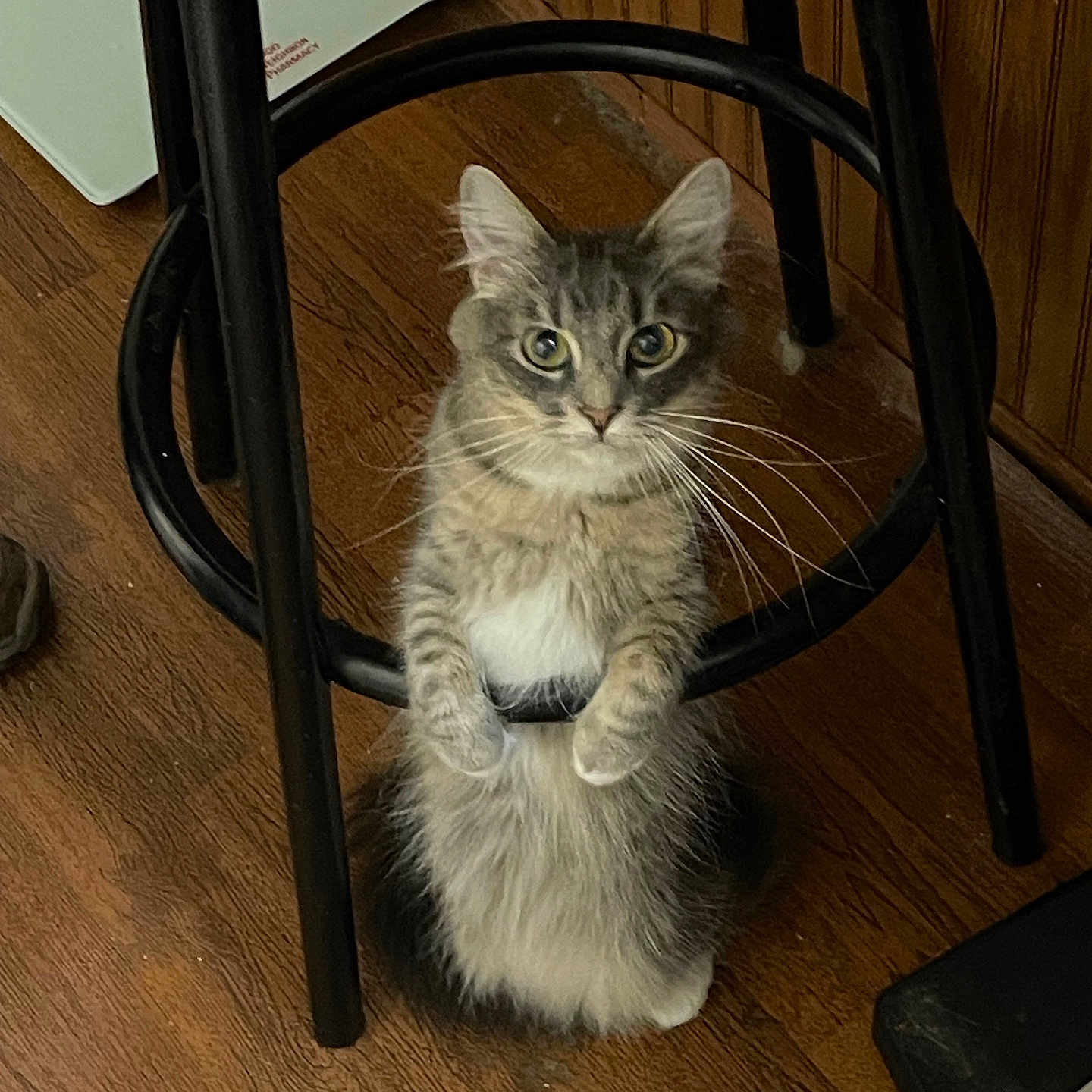 Ellen