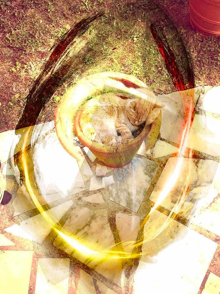 Vecchio