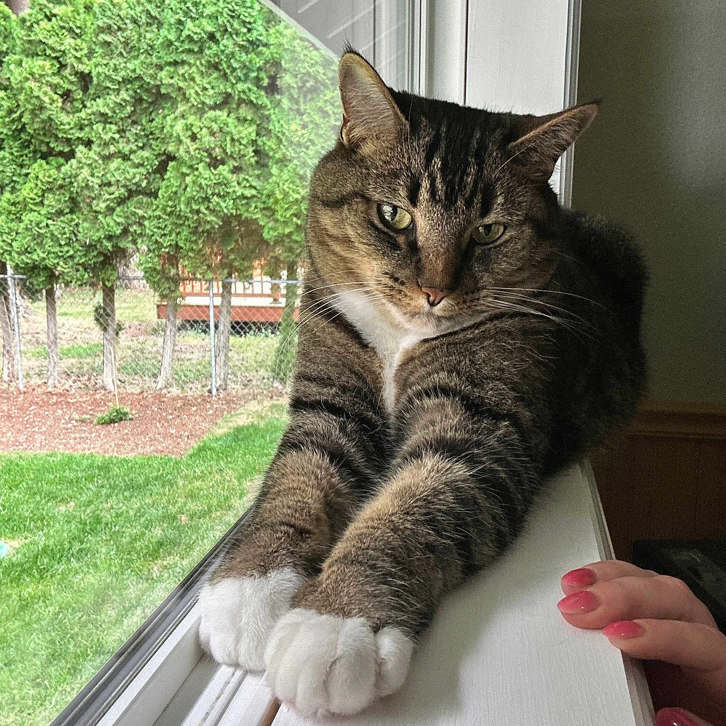 Mojo