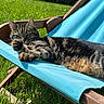 cat, tabby, outdoor, chair, blue_fabric, grass, sunlight, relaxed, paws, feline, nature, wooden_frame, pet, animal, resting, summer, closeup, striped, greenery, daylight
