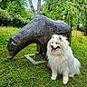 dog, white_dog, fluffy_dog, metal_sculpture, bear_sculpture, grass, greenery, trees, outdoor, nature, happy_dog, tongue_out, park, sunny, daytime, animal, pet, leash, sculpture, art