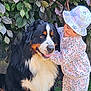 animal, bernese_mountain_dog, child, cute, dog, floral_clothing, friendly, grass, greenery, happy, hat, hugging, leaves, nature, outdoor, pet, portrait, smiling, toddler, young_child