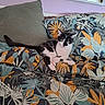 animal, bed, bedding, bedroom, black_and_white, blanket, cat, couch, feline, floral_pattern, home, indoor, kitten, pet, pillow, relaxed, sitting, tropical_pattern, tuxedo_cat, two_cats