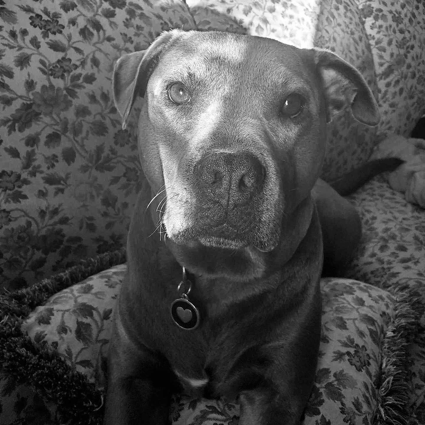 Charlie
