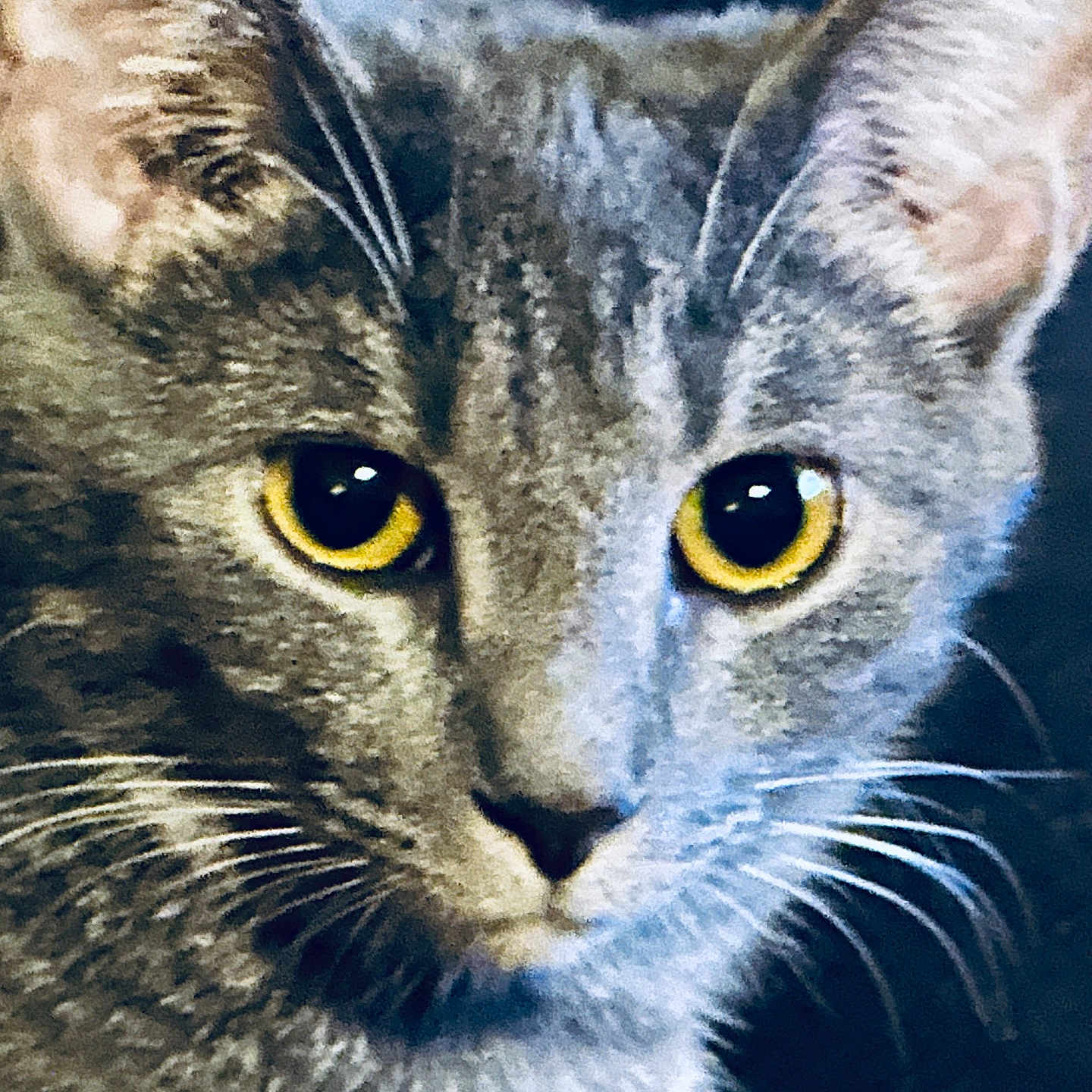 Zina