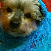 Bradefer a rejoint le concours — aidez-le/la à gagner de superbes lots !