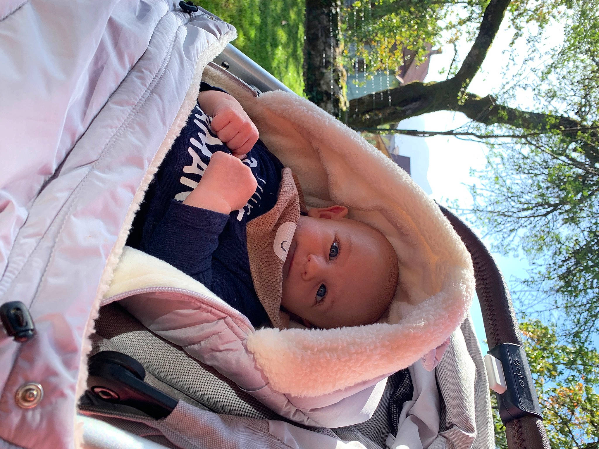 Lyzio participe au concours pour gagner de l'argent avec cette photo : baby, baby_carriage, baby_products, child, comfort, dress, event, fun, grass, hat, leisure, motor_vehicle, person, plant, recreation, sitting, sky, sunglasses, toddler, tree