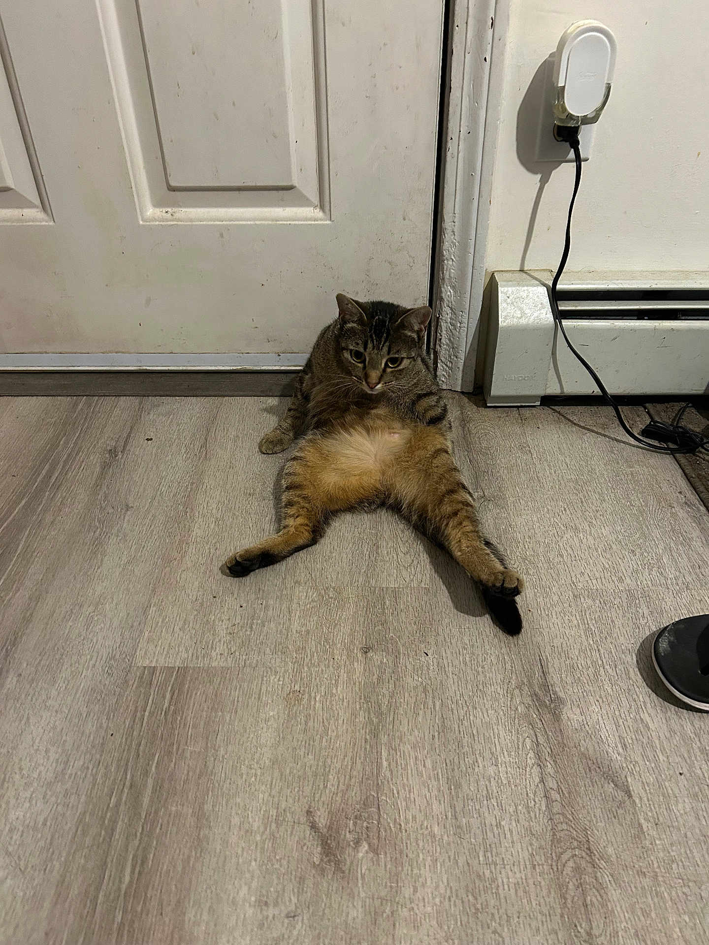 Chicken Nuggets