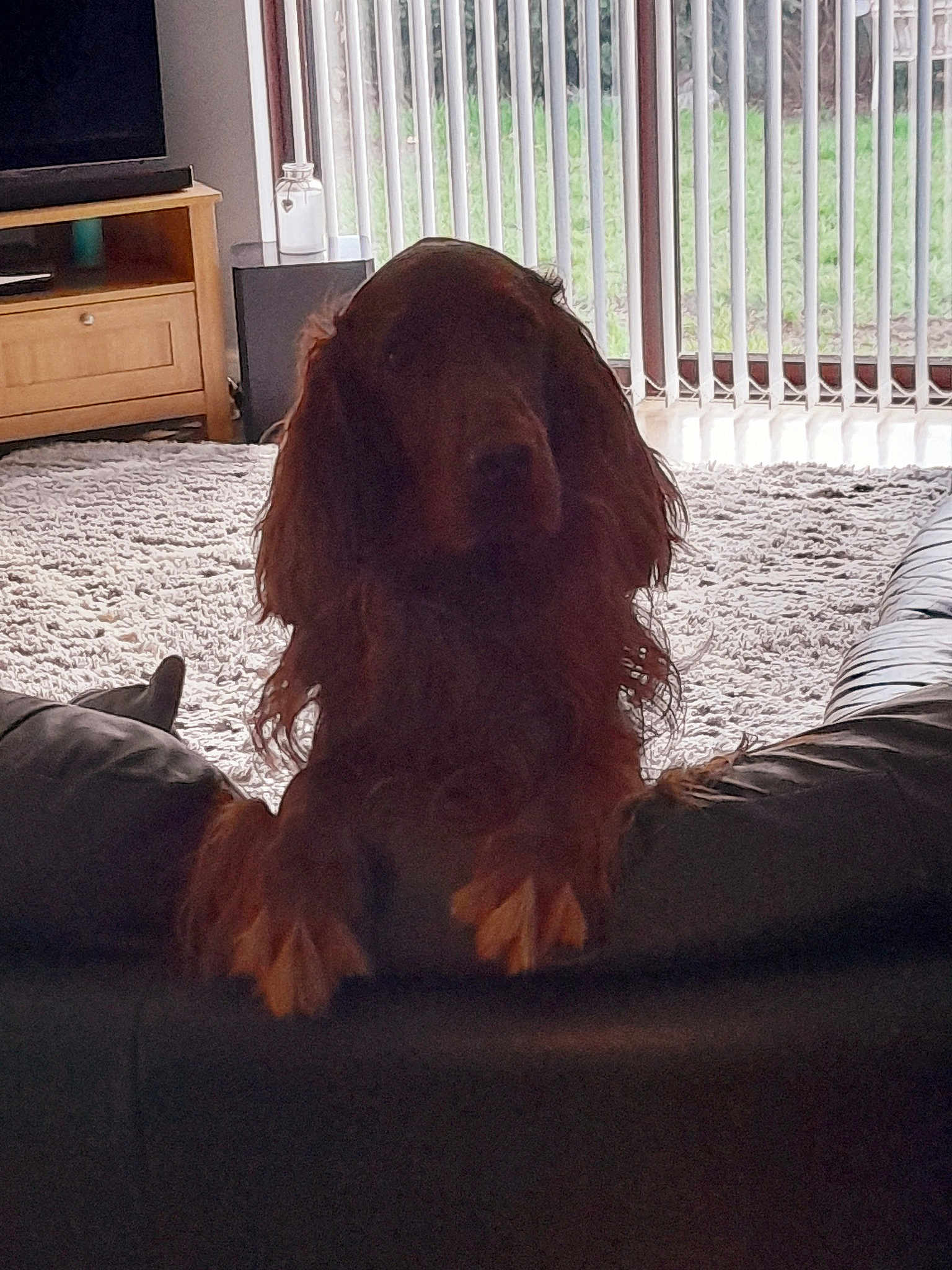 Oscar