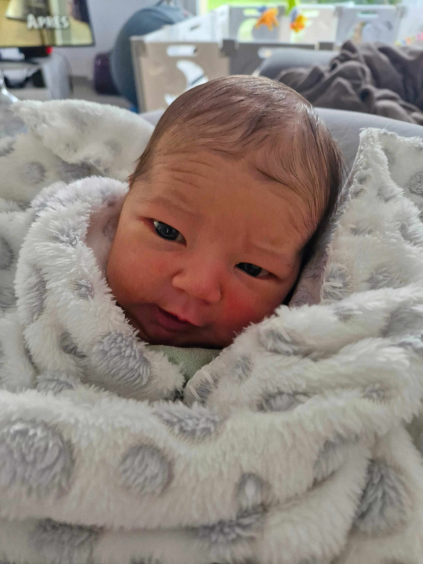 Nolan participe au concours pour gagner de l'argent avec cette photo : newborn, baby, blanket, polka_dots, soft_texture, wrapped, face, head, skin, eyes, expression, indoors, cozy, infant, person, portrait, cute, warm, resting, child