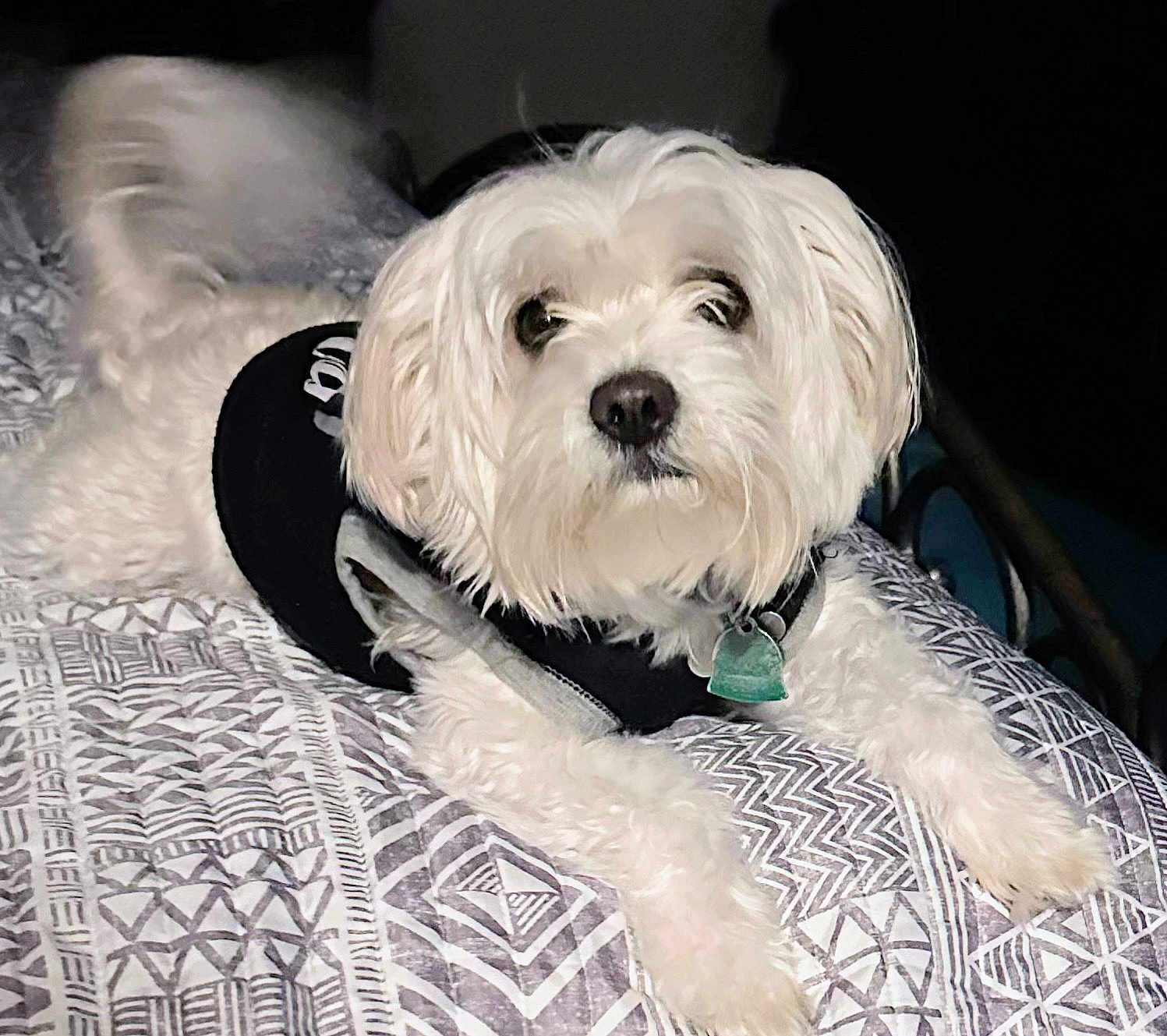 Marley