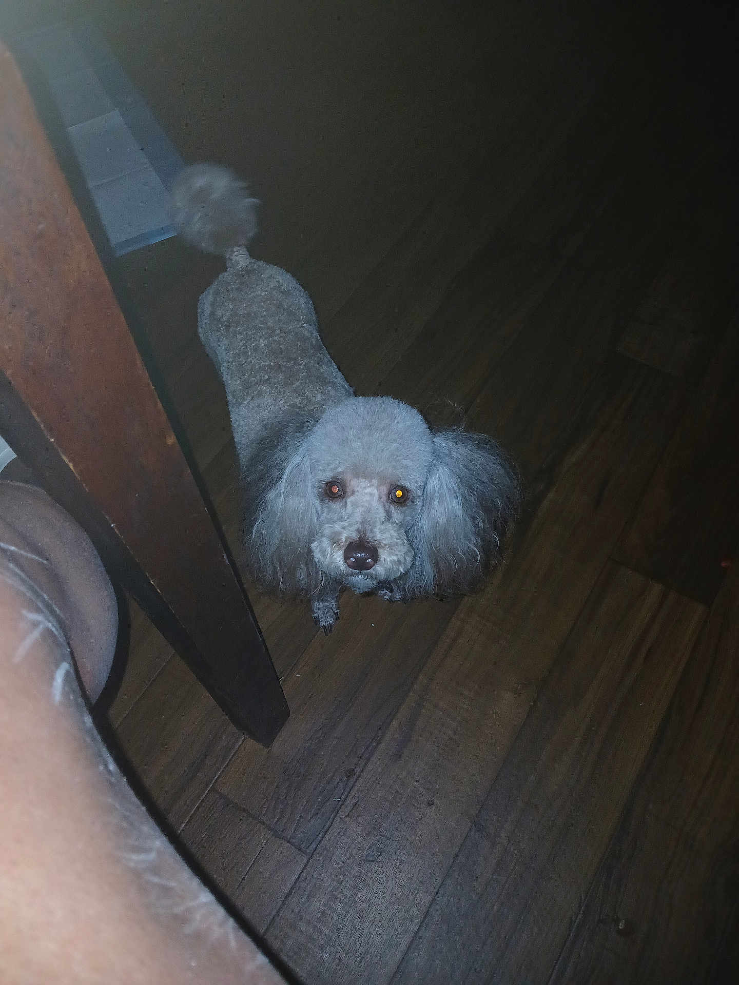 Coco