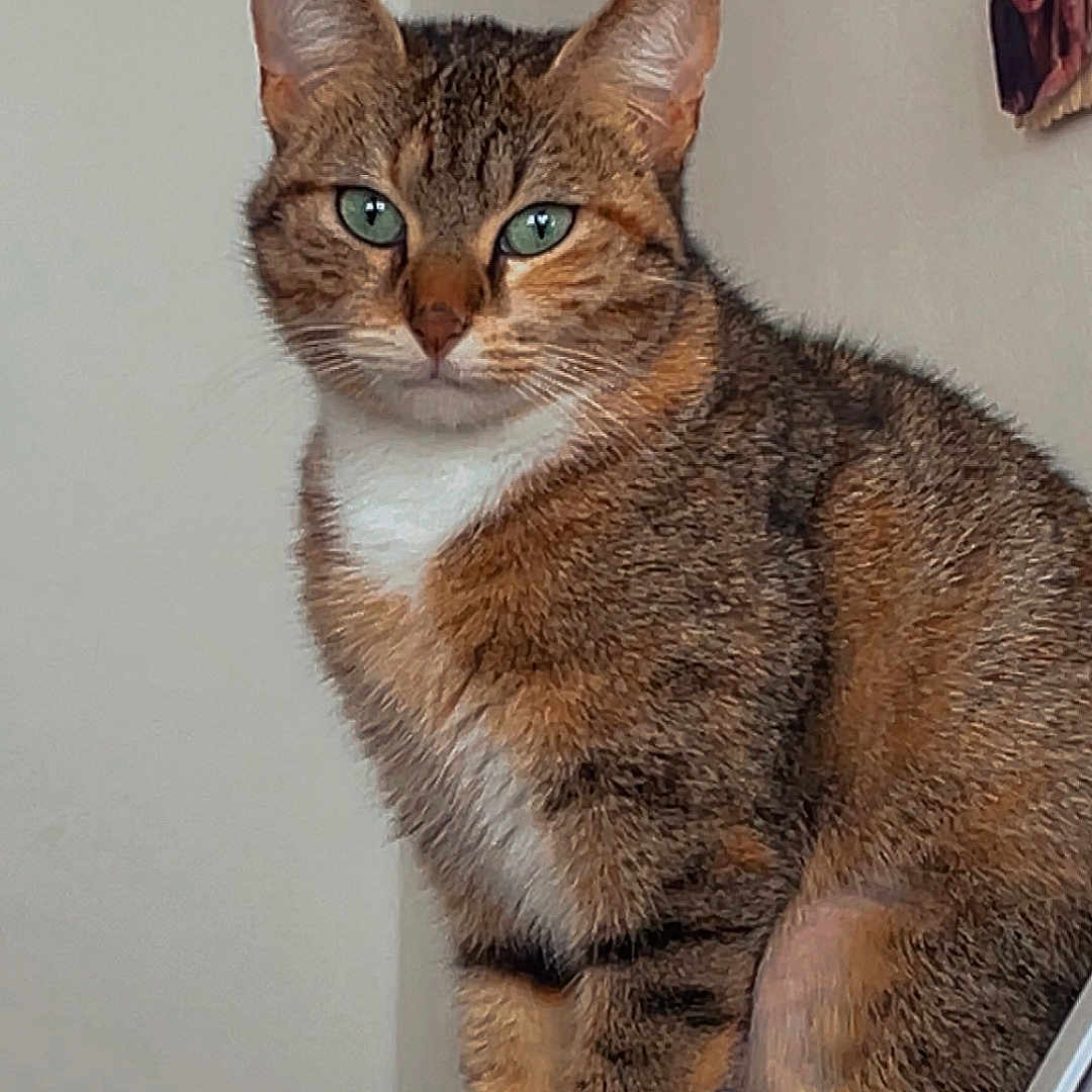 Tina