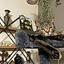 cat, tabby, cat_tree, paws, stretching, indoor, home_decor, shelf, vase, plant, furniture, relaxed, pet, animal, fur, whiskers, ears, claws, cozy, resting