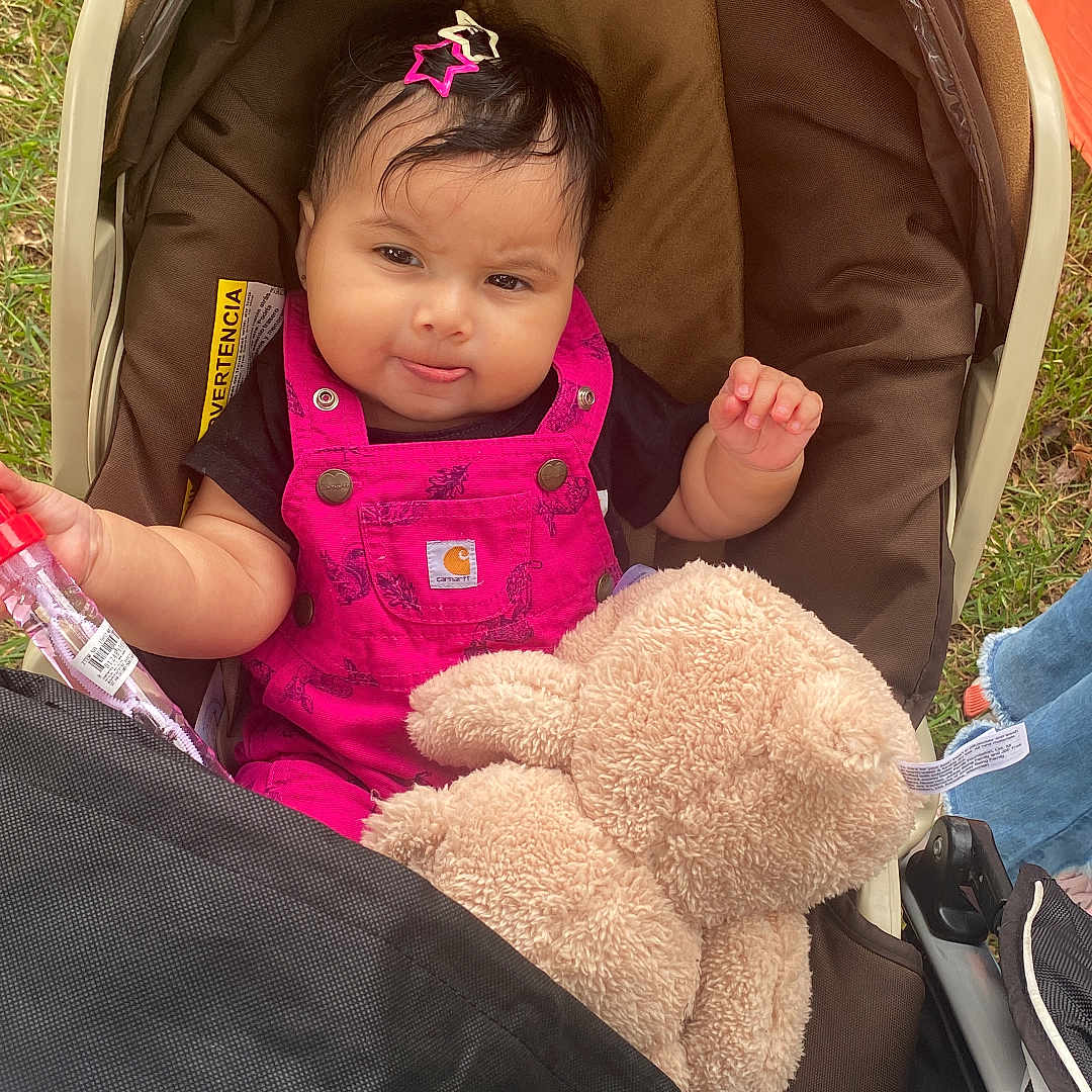 Dayanna is registered to the contest to win money with this photo: baby, child, stroller, teddy_bear, outdoor, grass, smiling, sitting, infant, pink_clothing, overalls, hair_bow, bottle, toy, portrait, playful, camping, wheel, fabric, family