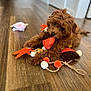puppy, dog, toy, floor, wooden_floor, brown, cute, pet, indoor, playing, animal, small_dog, fluffy, chewing, laying_down, house, home, domestic_animal, close_up, young_dog