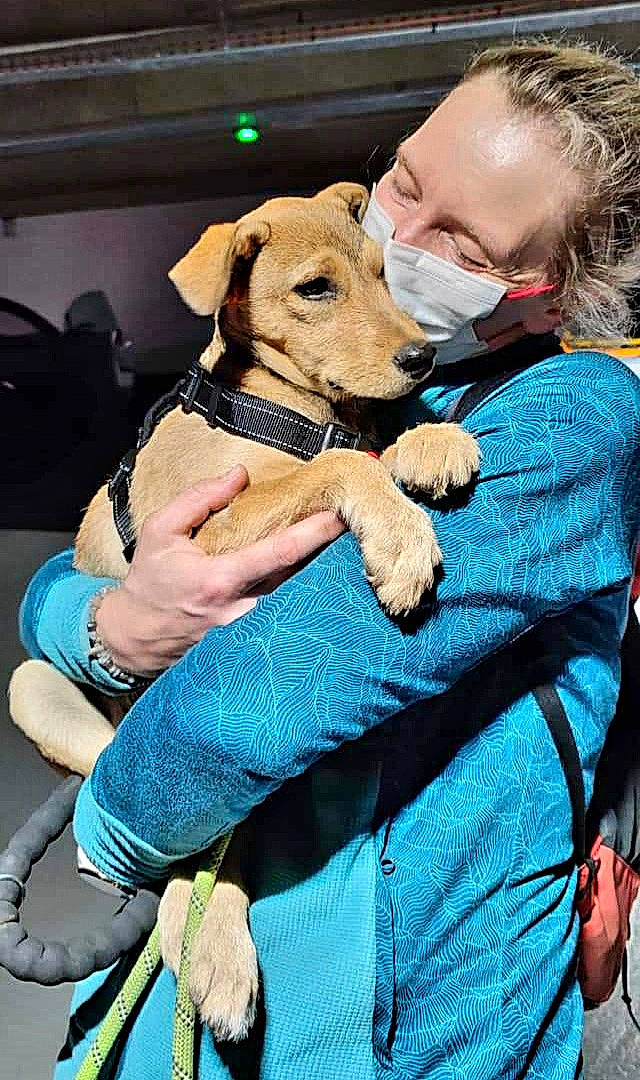 Ben participe au concours pour gagner de l'argent avec cette photo : bag, blue, canidae, carnivore, child, collar, companion_dog, dog, dog_breed, dog_clothes, dog_collar, fashion_accessory, fawn, fur, lap, leash, luggage_and_bags, people, sitting, sporting_group