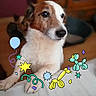 dog, pet, indoor, brown_and_white, balloon_animals, drawing, cute, animal, paw, closeup, relaxed, floor, whimsical, decorative, playful, companion, furry, domestic_animal, portrait, colorful