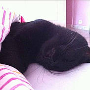 Figatel participe au concours pour gagner de l'argent avec cette photo :