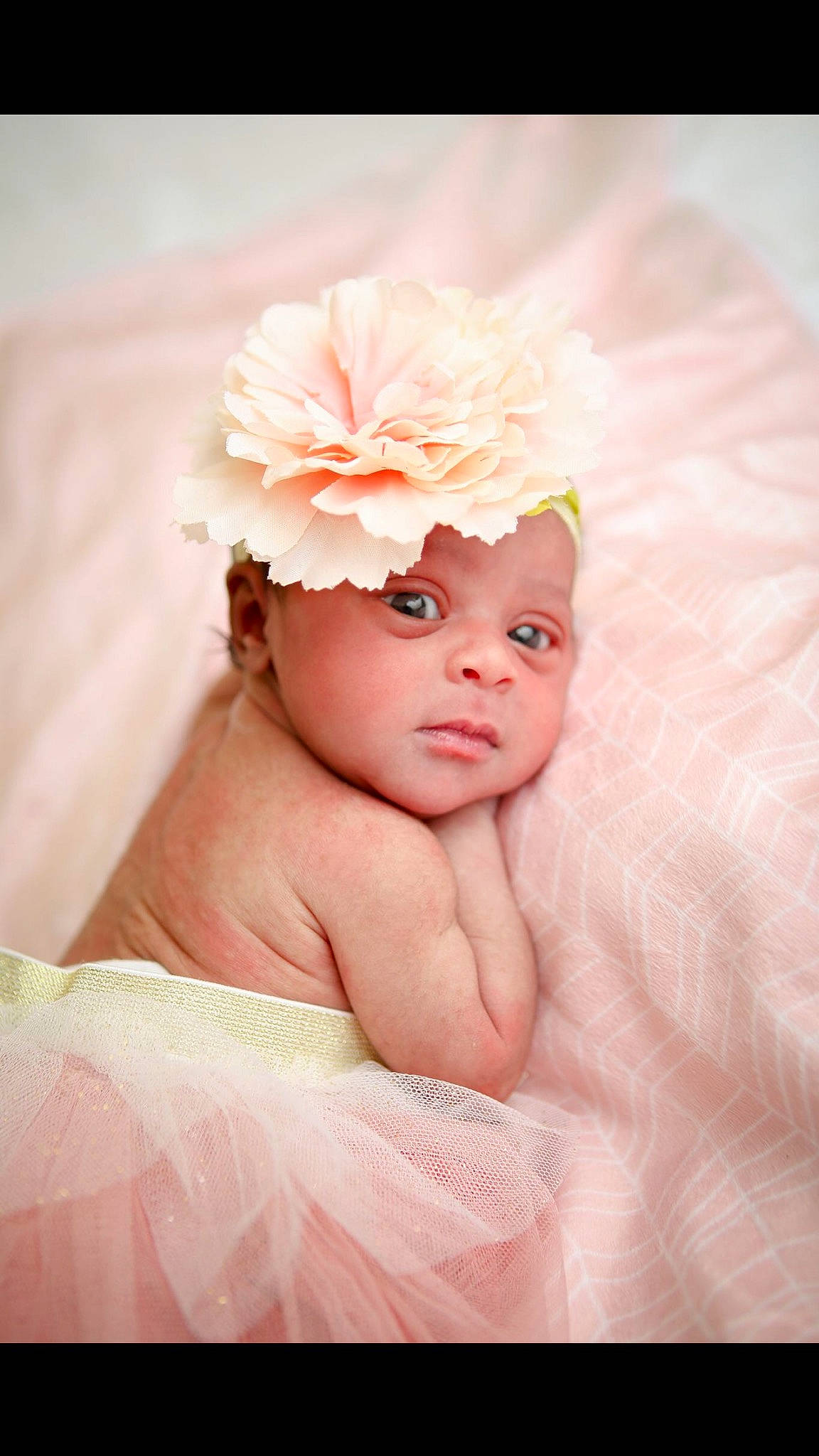 Kaileigh joined the competition — help win amazing prizes! baby, child, costume, fashion_accessory, flower, hair_accessory, headband, headgear, headpiece, headwear, person, petal, photograph, photography, pink, plant, product, skin, toddler