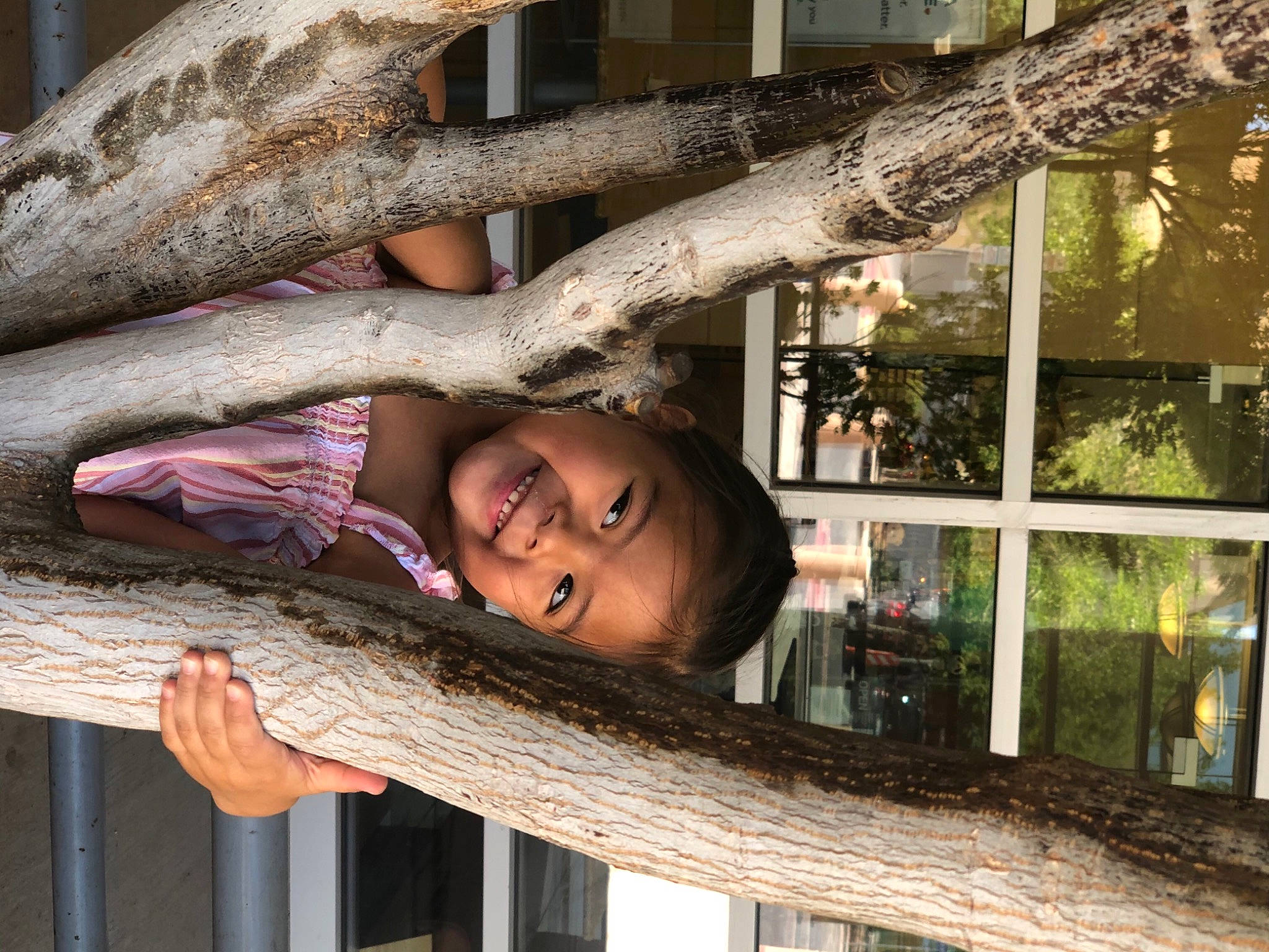 Tobie is registered to the contest to win money with this photo: botany, child, eye, fence, fun, fur, grass, happy, joy, leisure, person, plant, smile, spring, toddler, tree, trunk, twig, vacation, white