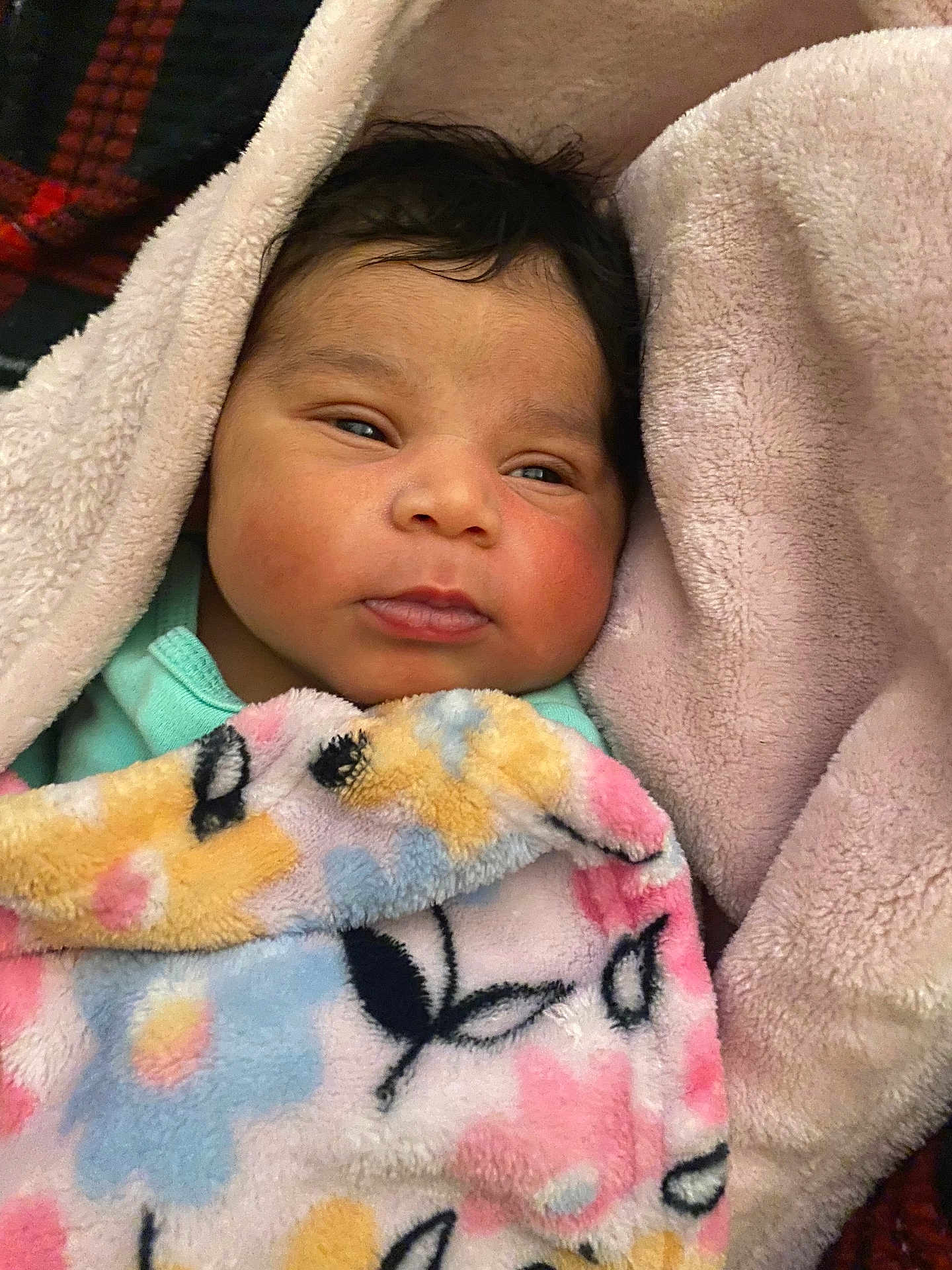 Navi joined the competition — help win amazing prizes! baby, blanket, child, comfort, cozy, cute, face, fleece, floral_pattern, indoors, infant, newborn, person, pink, portrait, resting, sleepwear, soft_texture, warmth, wrapped