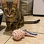 tabby_kitten, cat, kitten, toy, knitted_toy, floor, tile_floor, indoor, pet, animal, whiskers, ears, curious, young_cat, playful, domestic_cat, feline, small_animal, brown_tabby, striped_fur