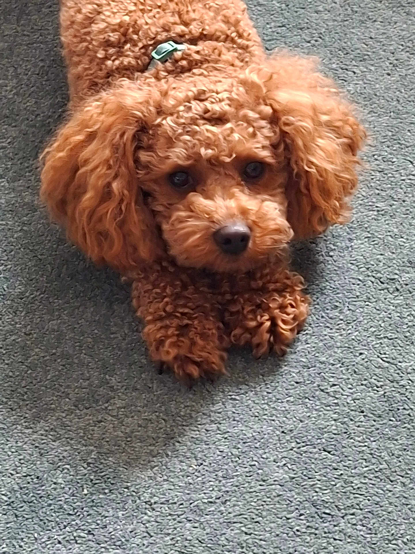 Billy
