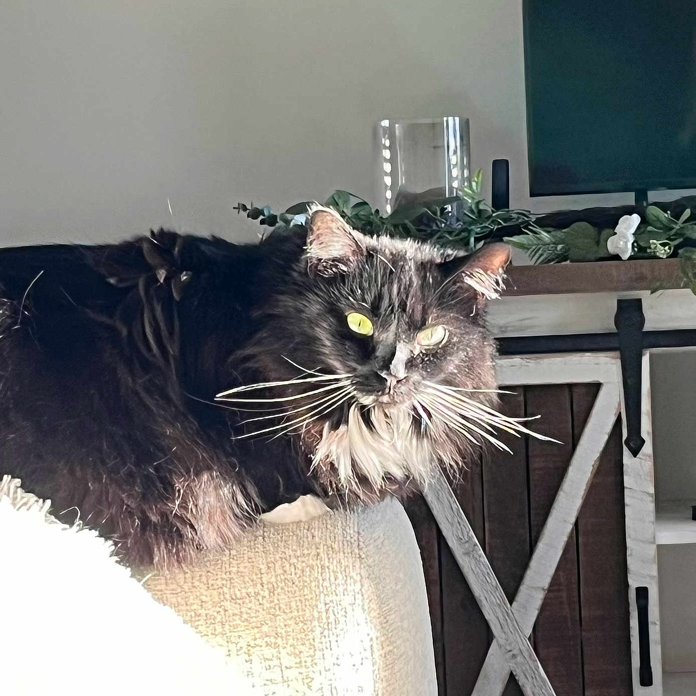 Sunshine
