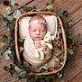 Bella-Rose is registered to the contest to win money with this photo: newborn, baby, basket, blanket, teddy_bear, headband, wood_floor, greenery, wicker, sleeping, wrapped, cute, soft_lighting, indoors, portrait, peaceful, infant, knitted_toy, decor, cozy