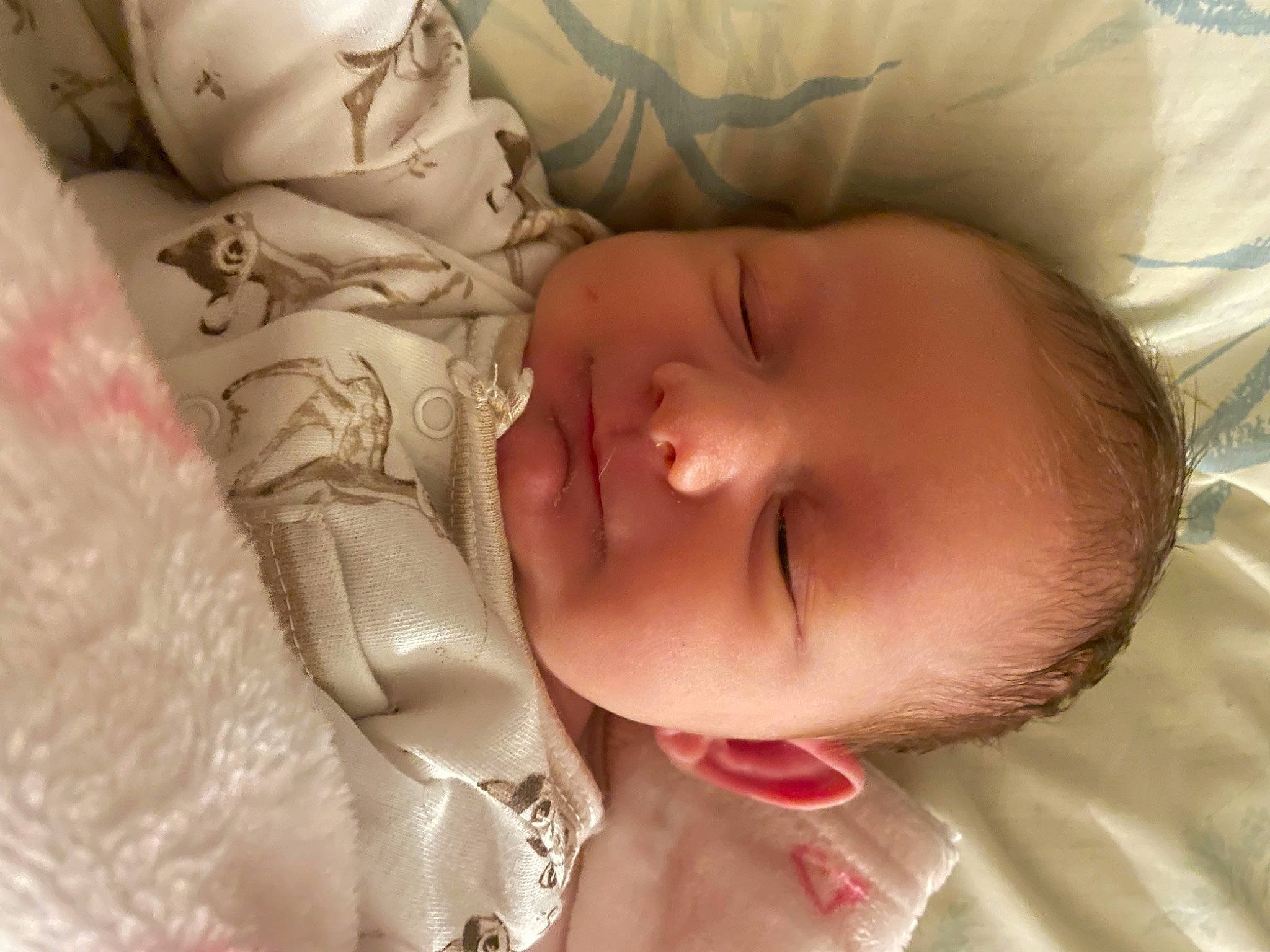 Paisley joined the competition — help win amazing prizes! baby, baby_toddler_clothing, bedtime, cheek, child, comfort, ear, eyebrow, eyelash, hand, happy, iris, linens, lip, mouth, nose, person, pink, skin, textile