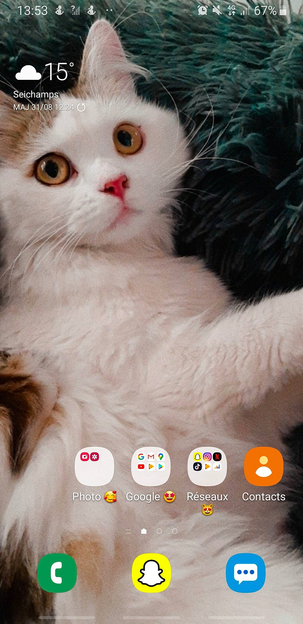 Chanel a rejoint le concours — aidez-le/la à gagner de superbes lots ! carnivore, cat, claw, fawn, felidae, font, fur, paw, photography, screenshot, small_to_medium_sized_cats, snout, terrestrial_animal, whiskers, white