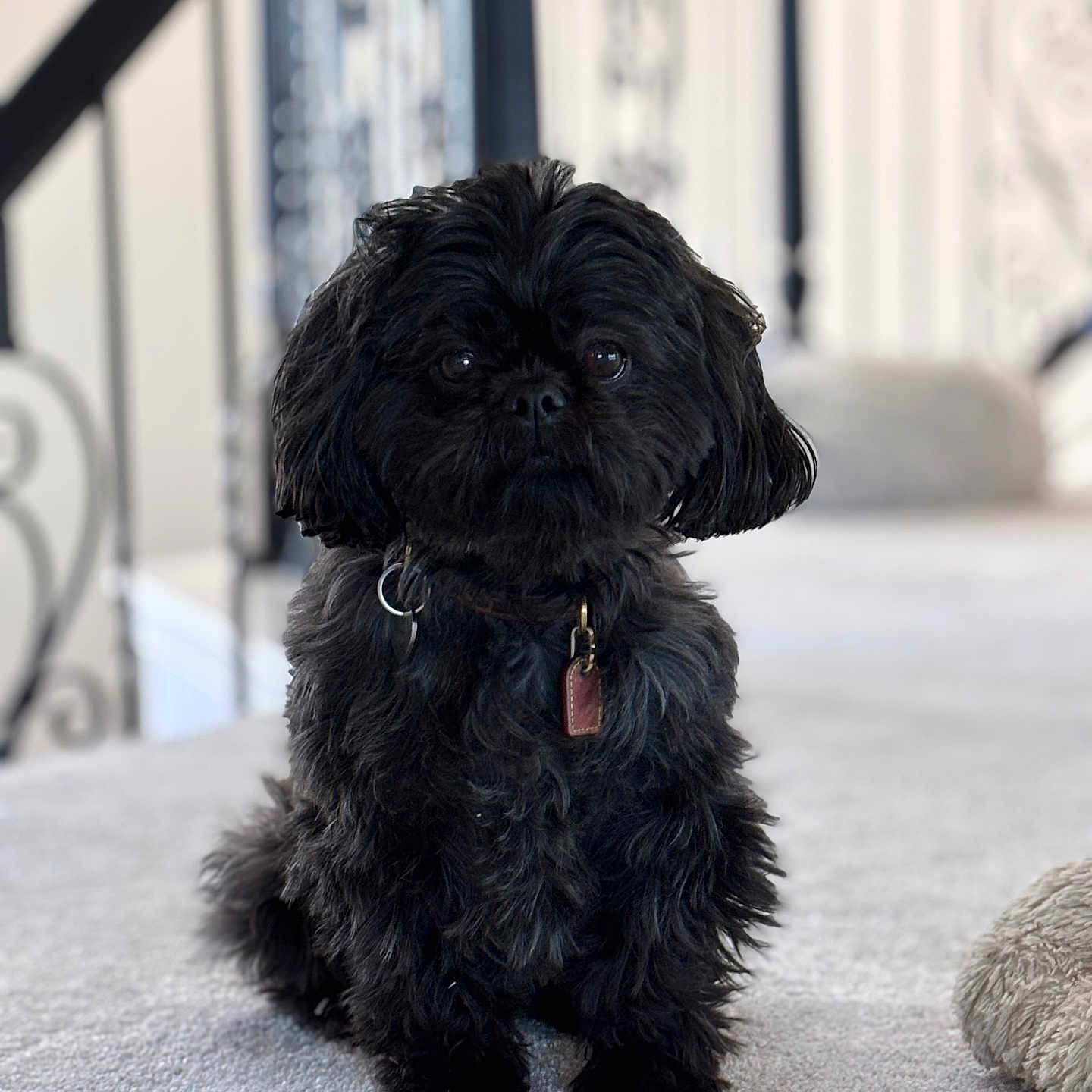 Beau
