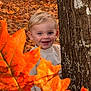 child, toddler, tree, autumn, fall_leaves, orange_leaves, smile, outdoor, nature, seasonal, cute, happy, portrait, young_child, face, tree_bark, leaf, background, park, daylight
