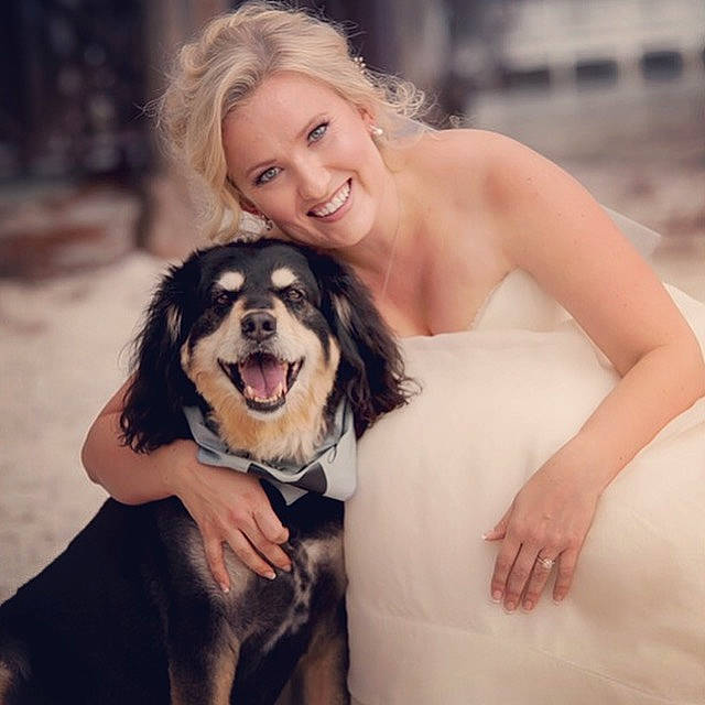 Mr Lucky joined the competition — help win amazing prizes! beauty, bride, canidae, carnivore, companion_dog, dog, dog_breed, dress, facial_expression, formal_wear, fur, happy, human, male, photo_shoot, photograph, photography, puppy_love, skin, smile