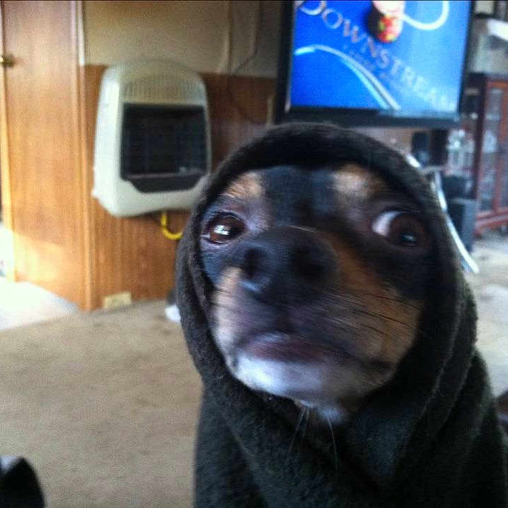 Miller joined the competition — help win amazing prizes!