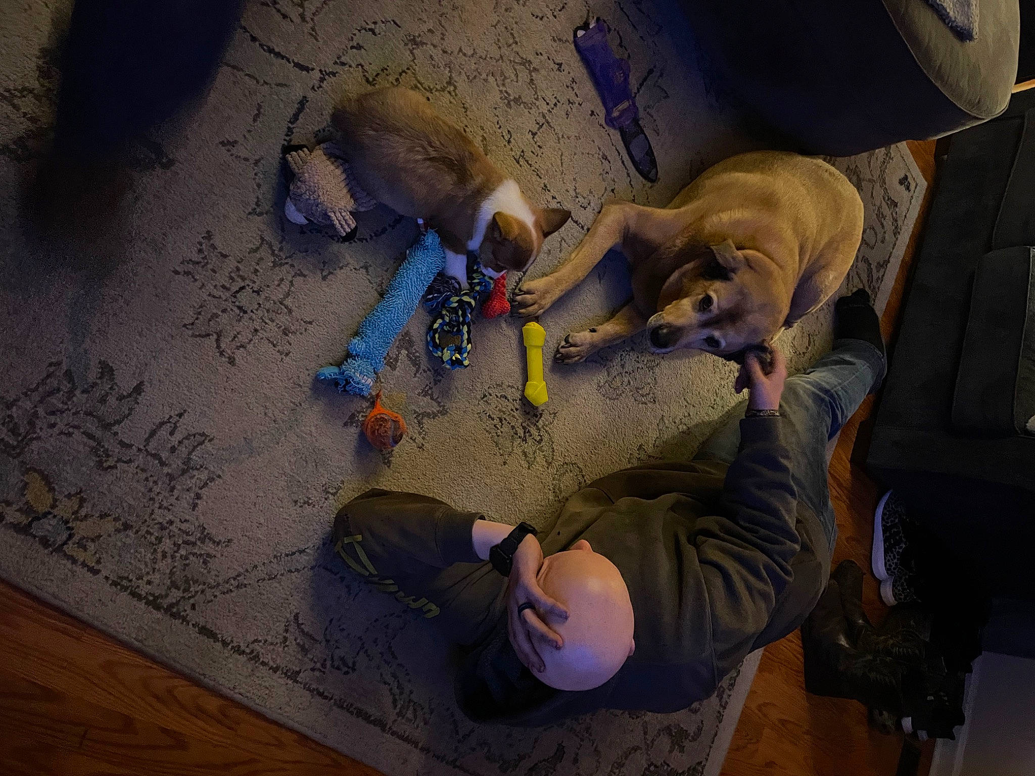 Angel joined the competition — help win amazing prizes! adventure, animation, art, artist, comfort, flooring, fun, hardwood, hat, room, sitting, space, tree, visual_arts, wood, wood_flooring, wood_stain