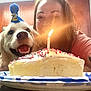 birthday_cake, cake, candle, celebration, dog, face, festive, food, golden_retriever, happy, human, indoor, kitchen, light, party_hat, pet, smiling, table, tattoo, woman