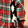 cat, black_and_white, stretching, blanket, plaid, indoor, pet, animal, feline, whiskers, paws, tail, relaxed, cozy, floor, fur, cute, playful, resting, home