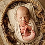 Livio participe au concours pour gagner de l'argent avec cette photo : baby, basket, blanket, closeup, cozy, cute, feet, hands, indoors, infant, knit, newborn, peaceful, portrait, rope, skin, sleeping, soft, tiny, wrapped