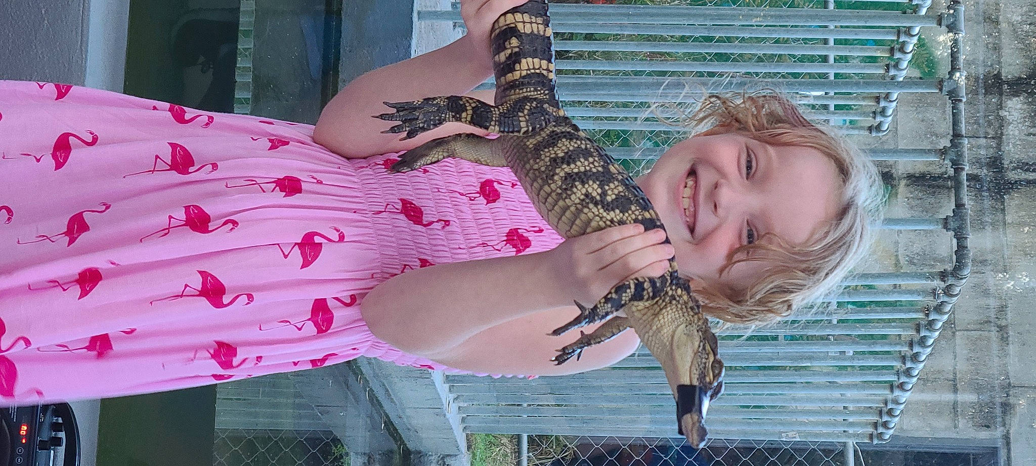 Wednesday is registered to the contest to win money with this photo: abdomen, beak, bird, fawn, feather, flesh, fun, happy, human_leg, joy, pattern, person, python, reptile, scaled_reptile, serpent, smile, terrestrial_animal, thigh, wildlife